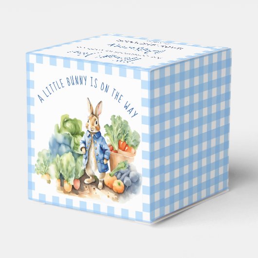 Peter konijn baby boy baby shower bedankdoosjes (Achterkant)