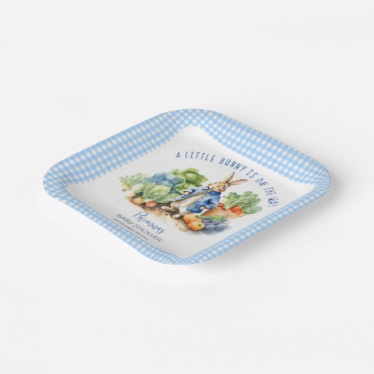Peter konijn baby boy baby shower gedrukt papieren bordje (Gebogen)