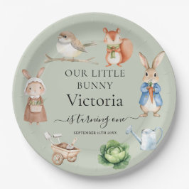 Peter Konijn Dieren Tuin Gereedschap Verjaardagsfe Papieren Bordje