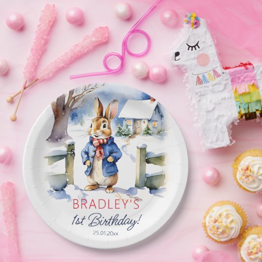 Peter konijn winter verjaardagsfeestje servies papieren bordje (Feest)