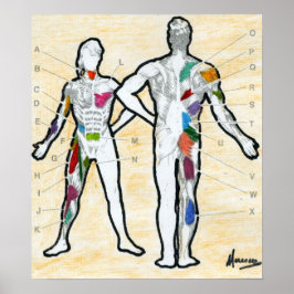 Peter Max tekentekening spierdiagram Poster