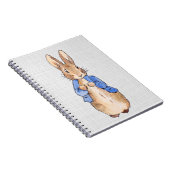 Peter met een grijze achtergrond notitieboek (Rechterzijde)