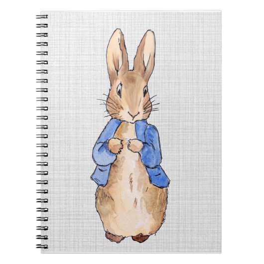 Peter met een grijze achtergrond notitieboek (Voorkant)