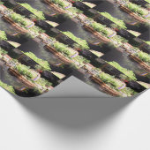 Peter Pan Pond Cadeaupapier (Hoek)