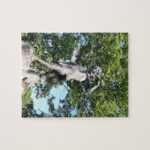 Peter Pan Statue Legpuzzel (Horizontaal)