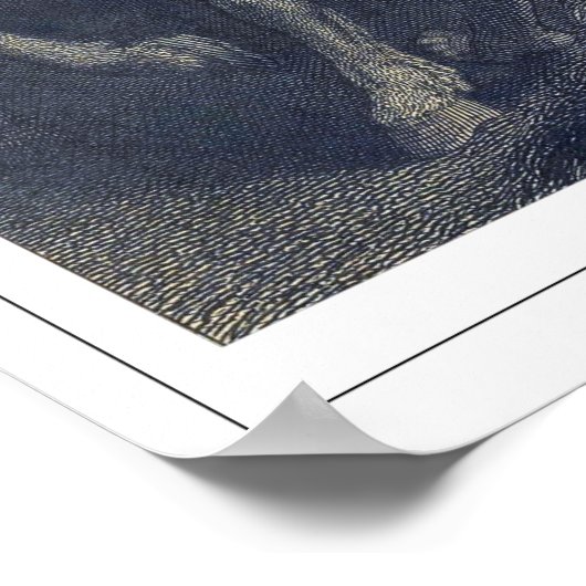 Peter Paul Rubens Zedign Art Poster #45 (Hoek)