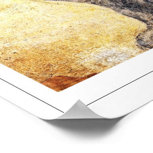 Peter Paul Rubens Zedign Art Poster #83 (Hoek)