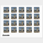 Peter Played Zijne Flute Vierkante Sticker (Vel)