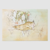 Peter Rabbit 2 Tissue Paper Tissuepapier (Voorkant)