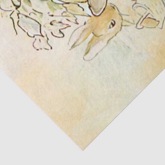 Peter Rabbit 3 Tissue Paper Tissuepapier (Detail)