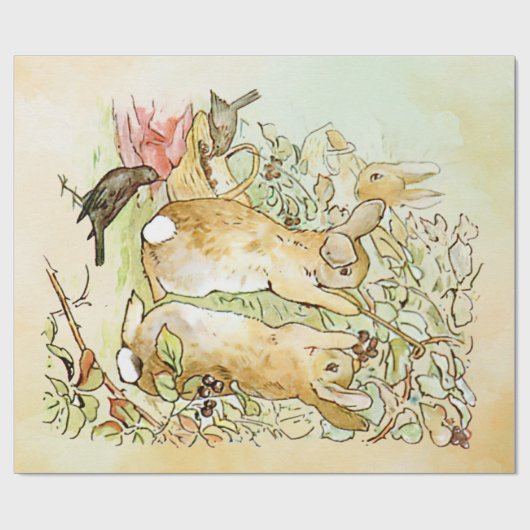 Peter Rabbit 4 Wrapping Paper Cadeaupapier (Vlak)