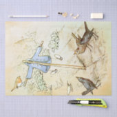 Peter Rabbit 5 Tissue Paper Tissuepapier (Craft)