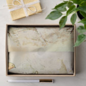 Peter Rabbit 5 Tissue Paper Tissuepapier (Geschenk)