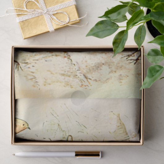 Peter Rabbit 5 Tissue Paper Tissuepapier (Geschenk)