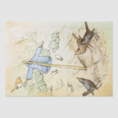 Peter Rabbit 5 Tissue Paper Tissuepapier (Voorkant)