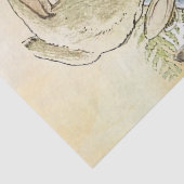 Peter Rabbit 8 Tissue Paper Tissuepapier (Detail)