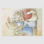 Peter Rabbit 8 Tissue Paper Tissuepapier (Voorkant)