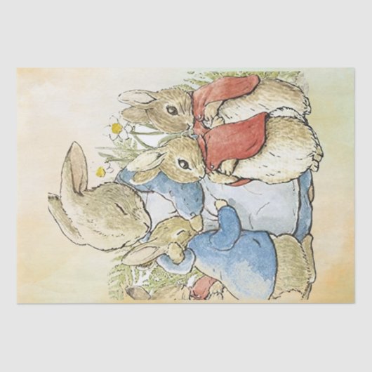 Peter Rabbit 8 Tissue Paper Tissuepapier (Voorkant)