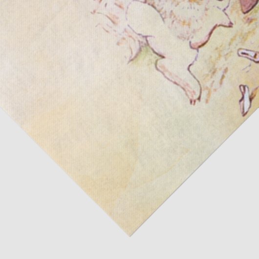 Peter Rabbit 9 Tissue Paper Tissuepapier (Detail)