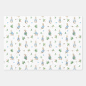 Peter Rabbit Baby Inpakpapier Vel (Voorkant 3)
