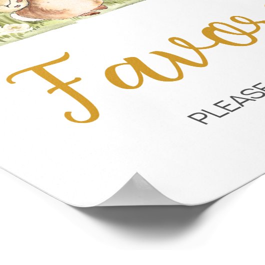 Peter Rabbit Baby shower Favors Poster (Hoek)