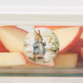 Peter Rabbit Baby shower Labels (Aangebracht)
