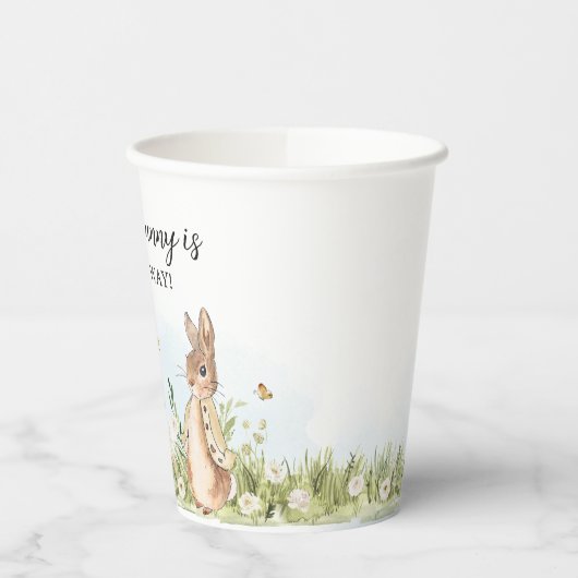 Peter Rabbit Baby shower Papieren Bekers (Links)