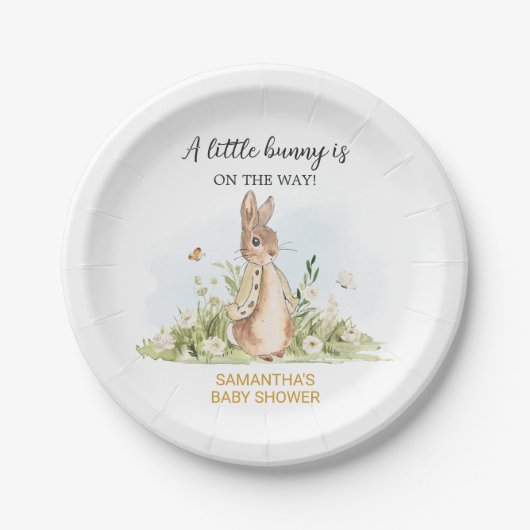 Peter Rabbit Baby shower Papieren Bordje (Voorkant)