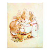Peter Rabbit Beatrix Potter Foto Afdruk (Voorkant)