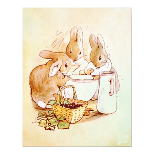 Peter Rabbit Beatrix Potter Foto Afdruk (Voorkant)