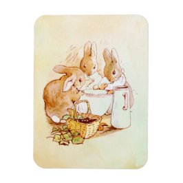 Peter Rabbit Beatrix Potter Magneet