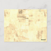 Peter Rabbit (biggen) Weefselpapier Briefkaart (Achterkant)