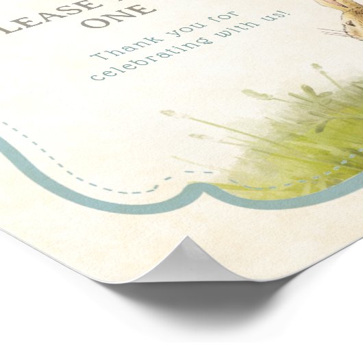  Peter Rabbit Boy Baby shower Favors Poster (Hoek)