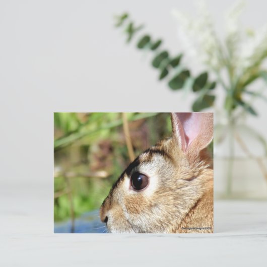"Peter Rabbit" Briefkaart (Staand voorkant)