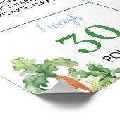 Peter Rabbit Eerste Verjaardagsfeestje Milestone P Poster (Hoek)