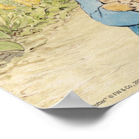 Peter Rabbit - First Birthday Welcome Poster (Hoek)