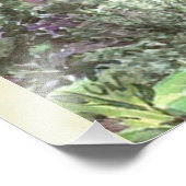 Peter Rabbit Foto Afdruk (Hoek)