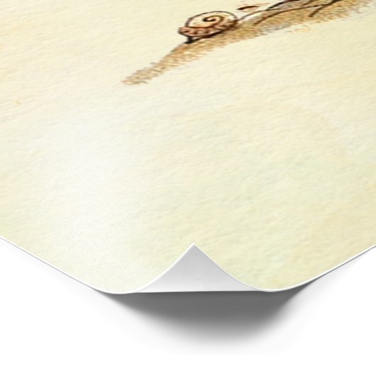 Peter Rabbit Foto Afdruk (Hoek)