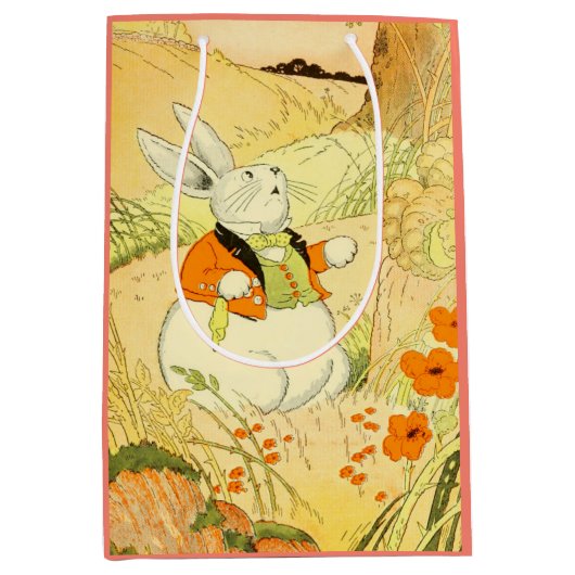 Peter Rabbit Gift Bag Medium Cadeauzakje (Voorkant)