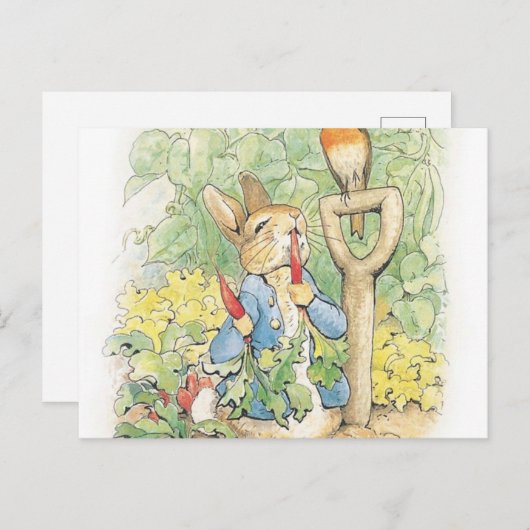 Peter Rabbit in the Garden - Beatrix Potter Briefkaart (Voorkant / Achterkant)