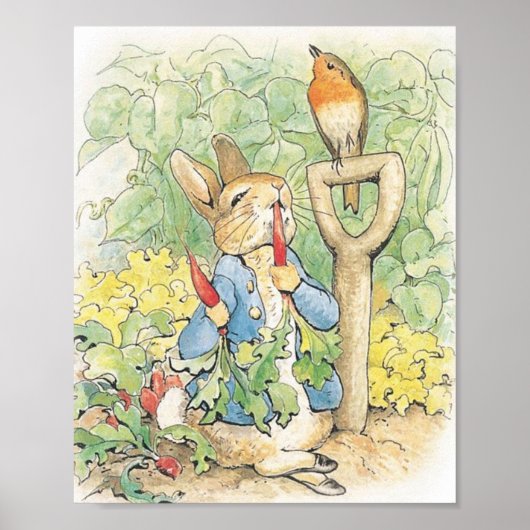 Peter Rabbit in the Garden - Beatrix Potter Poster (Voorkant)