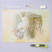 Peter Rabbit (kat) Weefselpapier Tissuepapier (Craft)