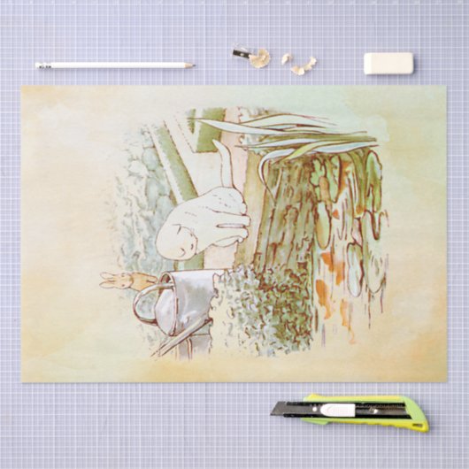 Peter Rabbit (kat) Weefselpapier Tissuepapier (Craft)