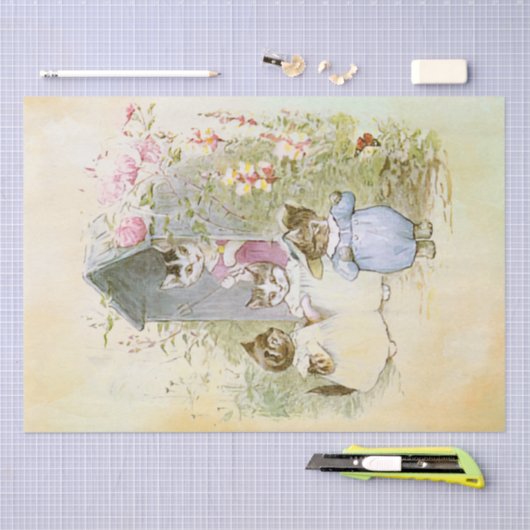 Peter Rabbit (katten) Weefselpapier Tissuepapier (Craft)