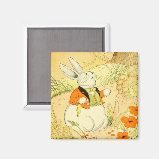 Peter Rabbit Magnet (Voorkant / Achterkant)