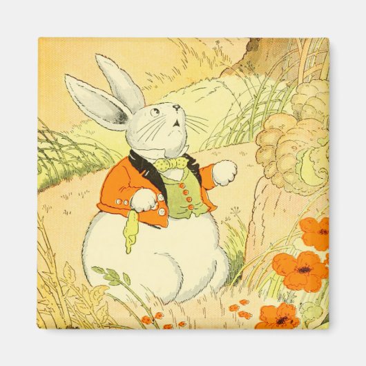 Peter Rabbit Magnet (Voorkant)