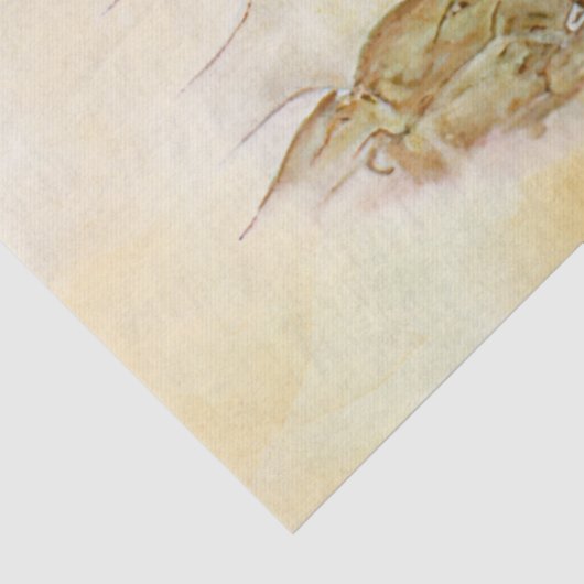 Peter Rabbit (mam) Tissue Paper Tissuepapier (Detail)