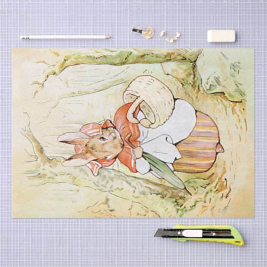 Peter Rabbit (mand) Weefselpapier Tissuepapier (Craft)
