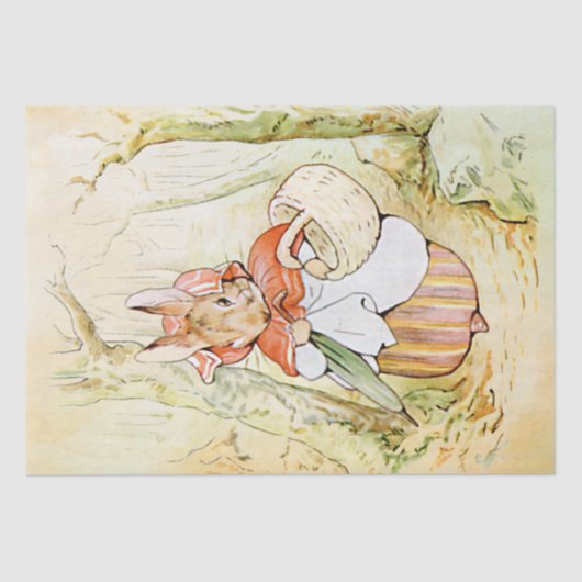 Peter Rabbit (mand) Weefselpapier Tissuepapier (Voorkant)
