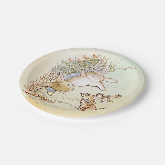 Peter Rabbit met vogelpapieren Borden Papieren Bordje (Gekanteld)